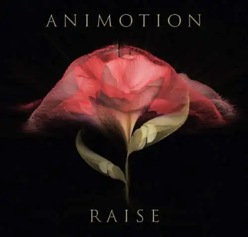 Animotion: Raise Your Expectations CD Neu