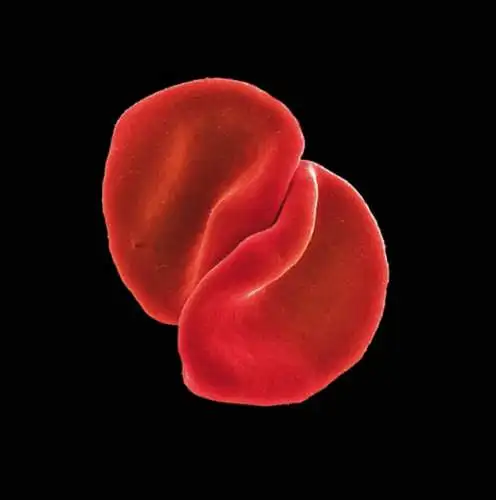 Peter Gabriel: Scratch my Back CD Neu