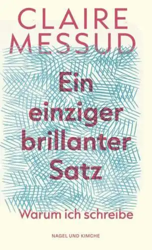 Claire Messud: Ein einziger brillanter Satz Buch Neu