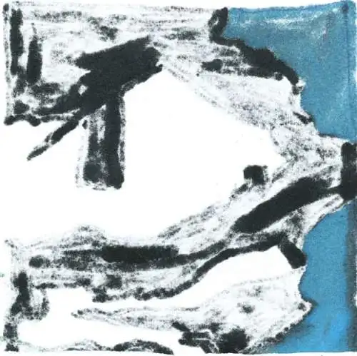 Accessory - Dust LP Vinyl Neuware