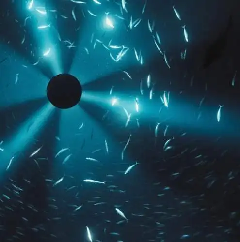 Laurel Halo: Midnight Zone CD Neu