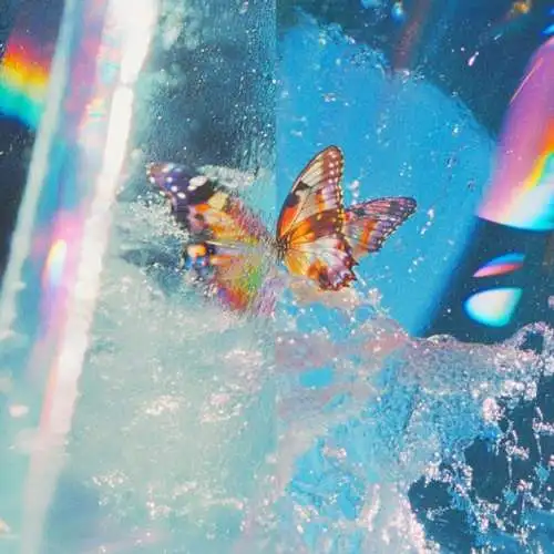 Daphni - Butterfly CD Neu