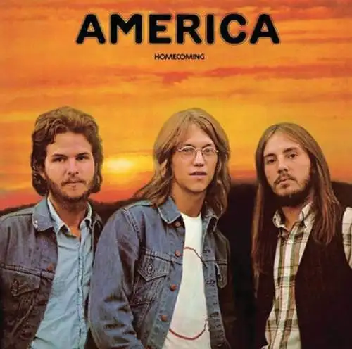 America: Homecoming (Acoustic Sounds 40 Series) (180g) 2 LPs Neu