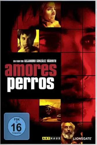 Amores Perros DVD Arthaus Drama Neu