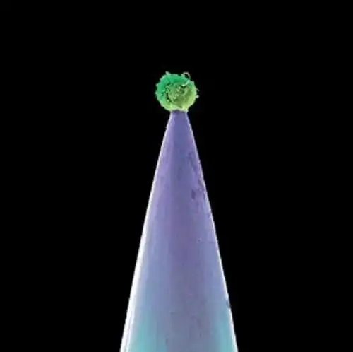 Peter Gabriel - New Blood CD Neu