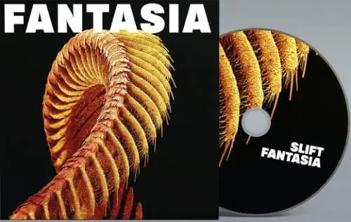 SLIFT - Fantasia CD Neu