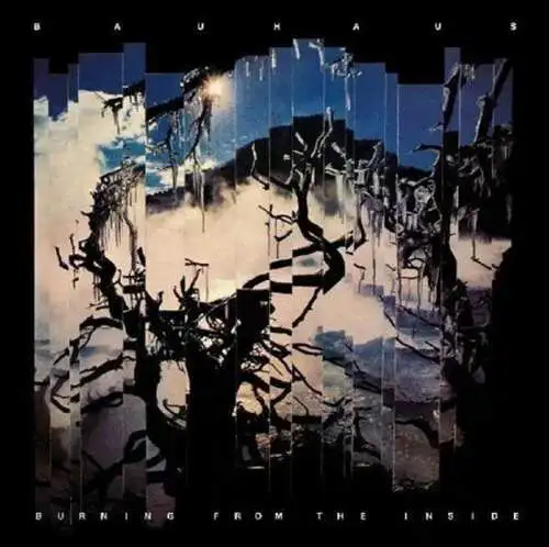 Bauhaus: Burning from the Inside Vinyl LP Neu