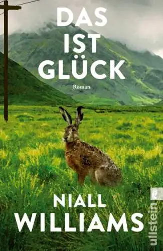 Niall Williams: Das ist Glück Buch Neu