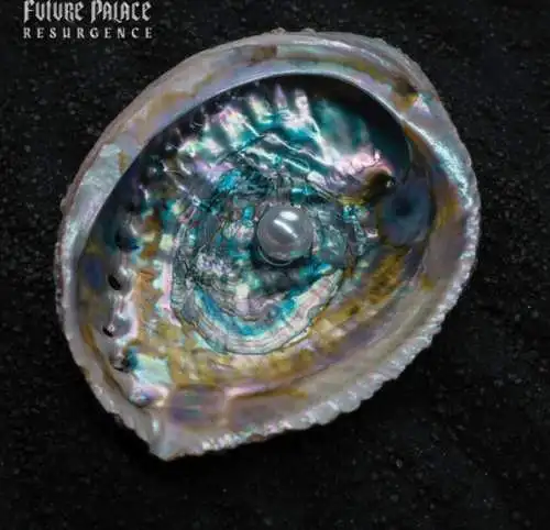 Future Palace: Resurgence CD Neu