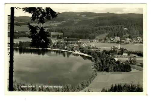 AK Titisee, See mit Panorama, 10790