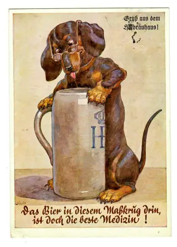 AK Humor, Dackel mit Maßkrug, Hofbräuhaus München, 12057