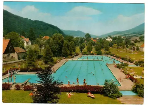 AK Elzach, Schwimmbad, 11129