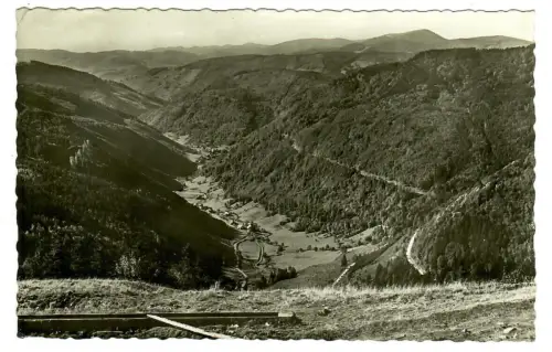 AK Fahl-Brandenberg Todtnau, Panorama Blick vom Feldberg, 10685