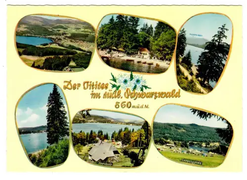 AK Titisee-Neustadt, Der Titisee im südlichen Schwarzwald - 10452