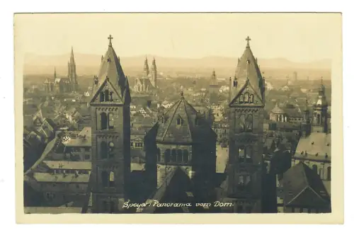 AK Speyer, Panorama vom Dom, 11500