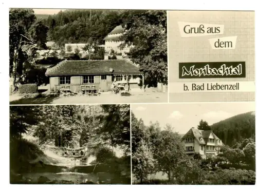 AK Bad Liebenzell, Monbachtal Raststätte Julius Kunz - 10410