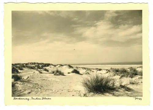 AK Norderney, In den Dünen, Popp Karte, 10780