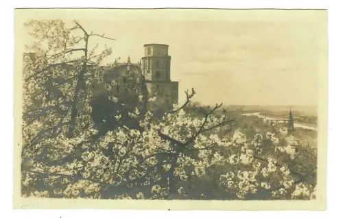 AK Heidelberg, Blick auf das Schloß, beschnitten, 10079