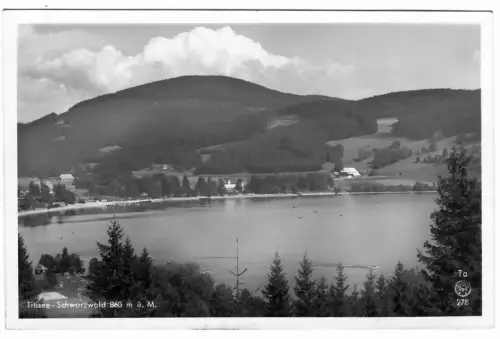 AK Titisee, Schwarzwald, 11079