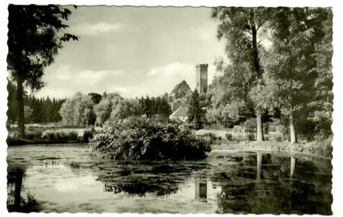 AK Buchen Bödigheim Schloßpark - 10357