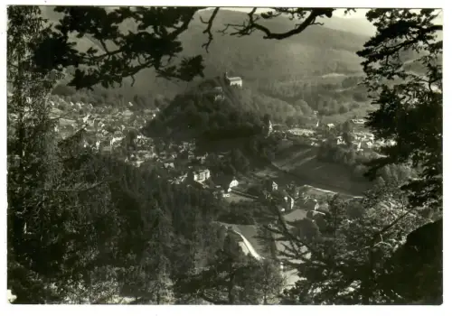 AK Schwarzburg (Rudolfstadt), Teilansicht Blick vom Trippstein, 11120