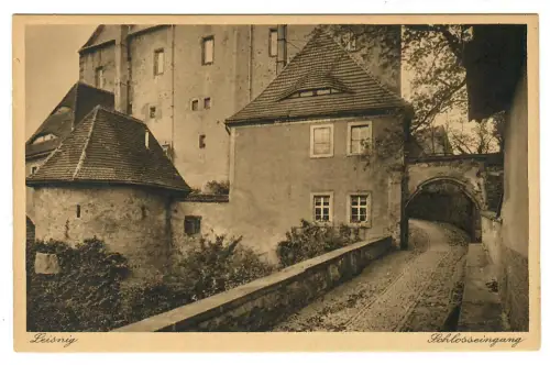 AK Leisnig, Schlosseingang, 11160