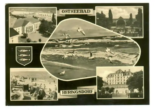 AK Ostseebad Heringsdorf, Kurhaus Musikpavillon Strand, Usedom 1967, 10138