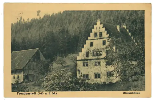 AK Freudenstadt, Bärenschlössle, 11161
