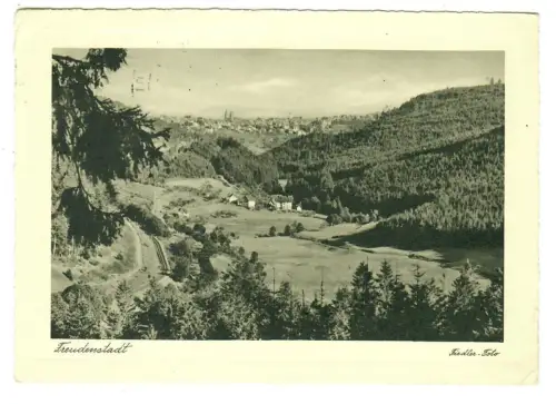 AK Freudenstadt, Panorama - 10438