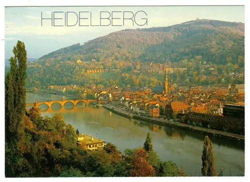 AK Heidelberg, Teilansicht mit Schloß und Neckar, 11037