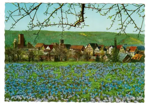 AK Zavelstein Teilansicht, Krokusblüte, 10393