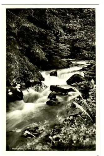 AK Bad Liebenzell, Monbachtal im Schwarzwald, 10640