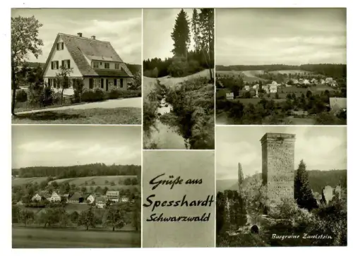 AK Speßhardt, Schwarzwald, Panorama, Burgruine Zavelstein - 10373