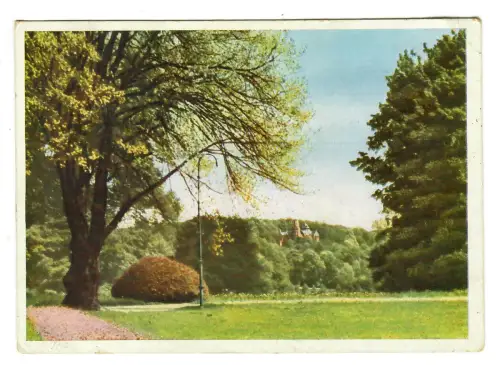 AK Bad Homburg, Kurpark, 11407