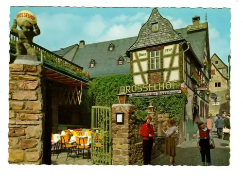 AK Rüdesheim, Der Drosselhof "Zu Rüdesheim in der Drosselgaß", 10165