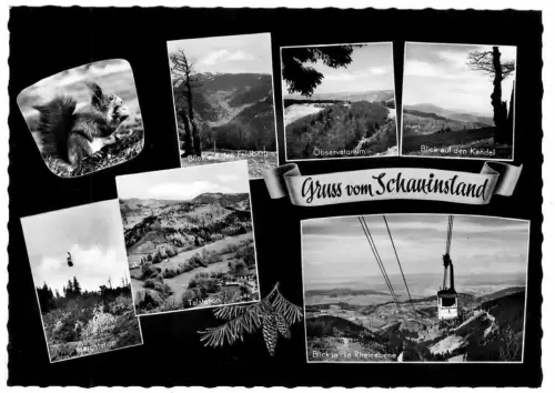 AK Baad, Gruss von Schauinsland, 11083