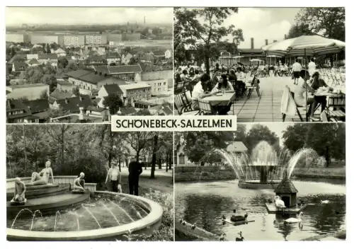 AK Schönebeck - Salzelmen - Teilansicht Kurpark 10397