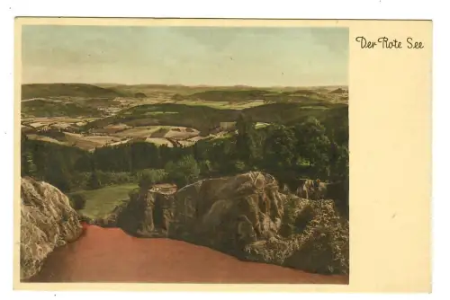 AK Großalmerode Witzenhausen, Der Rote See- Blick vom Forsthaus, 11481
