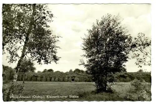 AK Wildeshausen (Oldenburg), Kleinenkneter Steine, 10593