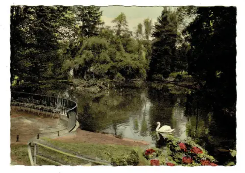 AK Badenweiler,  Kurpark  Schwarzwald - 10377