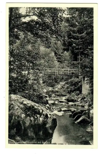 AK  Bad Liebenzell, das obere Monbachtal mit Brücke, 10656