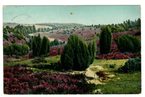 AK Wilsede, Lüneburger Heide, Schlucht am Totengrund, 11447