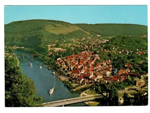 AK Neckargemünd, Panorama mit Neckartal, 10236