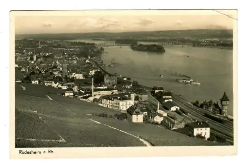 AK Rüdesheim, Teilansicht mit Rhein, 11509