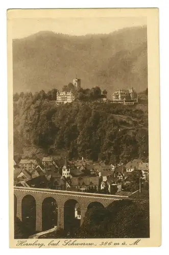 AK Hornberg, Eisenbahnviadukt, 12128