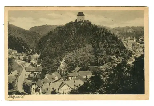 AK Ziegenrück, Panorama mit Kemenate, 12139