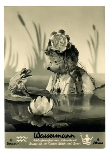 AK Mecki, Igelmädchen im Teich, Sternzeichen Wassermann, 12158