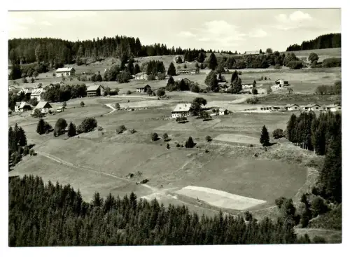 AK Falkau Schwarzwald, Teilansicht, 11019