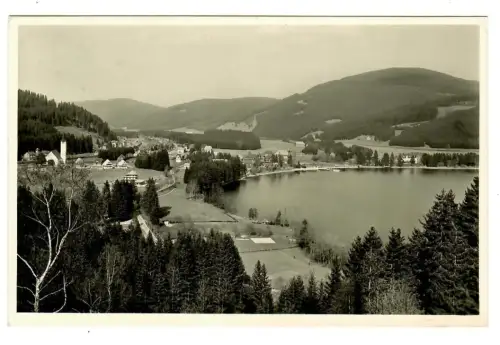 AK Titisee, Panorama mit See,  10608