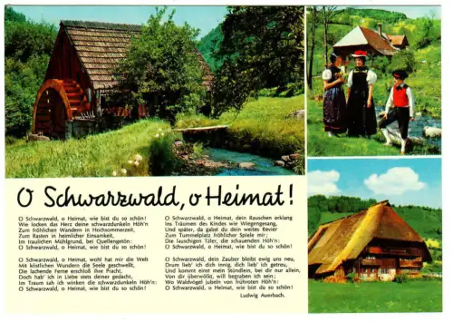 AK Schwarzwald - Liedkarte - O Schwarzwald, o Heimat! Ludwig Auerbach  - 10519